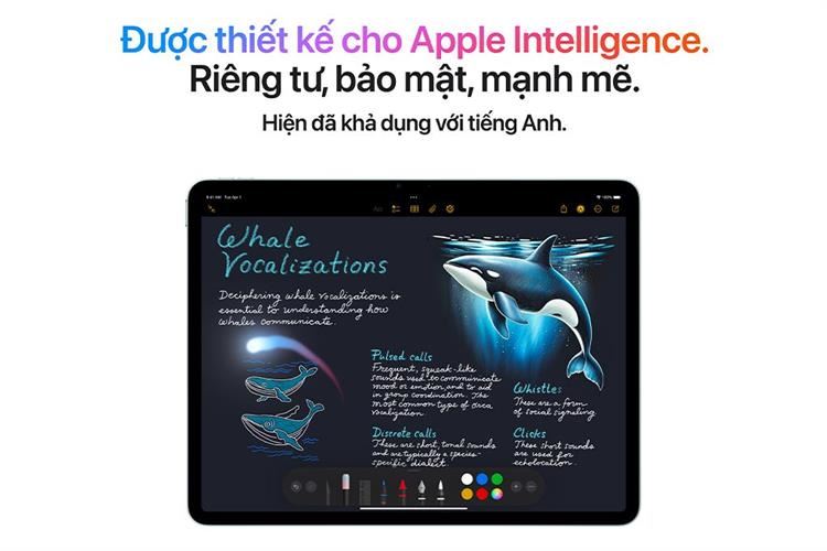 Máy tính bảng iPad Air M3 11 inch WiFi 128GB